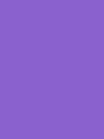 #8a61ce color image