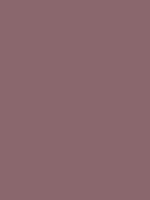 #8a666d color image