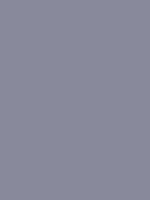 #8a889d color image