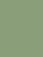 #8a9e7a color image