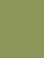 #8b9759 color image