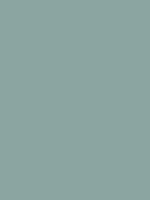 #8ba5a1 color image