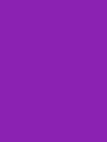 #8c22b1 color image