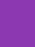 #8c39b1 color image