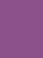 #8c518a color image