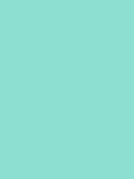 #8ce0d1 color image