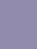 #918bad color image