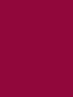 #92073a color image