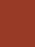 #983a26 color image