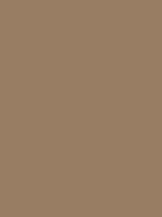 #987d63 color image