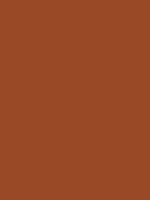 #9a4926 color image