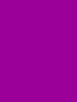 #9b0099 color image