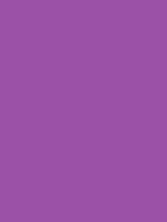 #9b51a7 color image