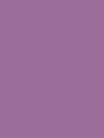 #9b6e9a color image