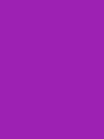 #9c23b1 color image