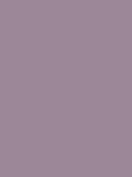 #9c8798 color image