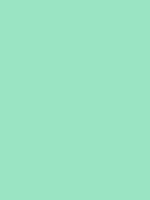 #9ce3c1 color image