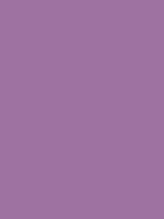 #9e72a1 color image