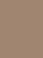 #9f8570 color image