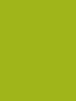 #a0b51a color image