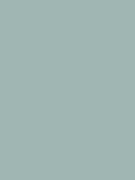 #a0b7b3 color image