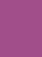 #a14e8a color image