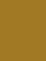 #a17924 color image
