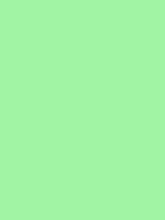 #a1f4a4 color image