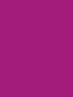 #a31c7b color image