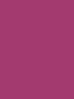 #a33a6f color image