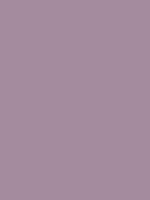 #a38a9d color image