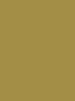 #a38e46 color image
