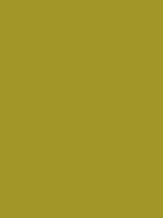 #a39628 color image