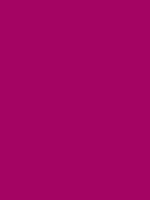 #a40463 color image