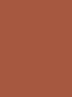 #a65840 color image