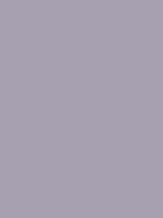 #a6a1ae color image