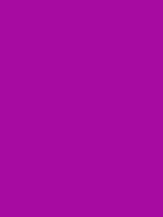 #a70ba1 color image