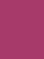 #a73a6a color image