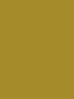 #a78b2a color image