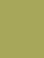 #a7a75a color image