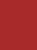 #a82a2a color image