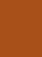 #a85019 color image