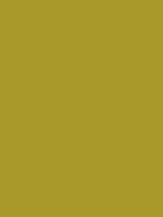 #a9992a color image