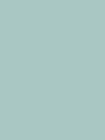 #a9c7c3 color image