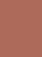 #ad6a5a color image