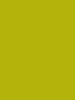 #b2b20a color image