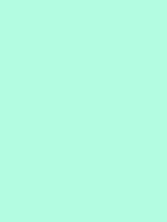 #b3fce1 color image