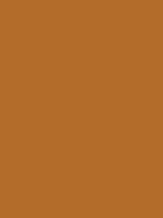 #b46c2a color image