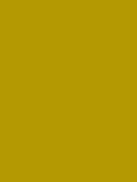 #b49902 color image