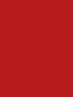 #b51a1c color image